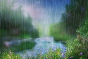 雨水节气，生命的奇迹