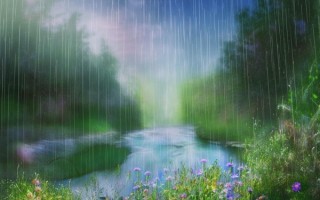 雨水节气，生命的奇迹